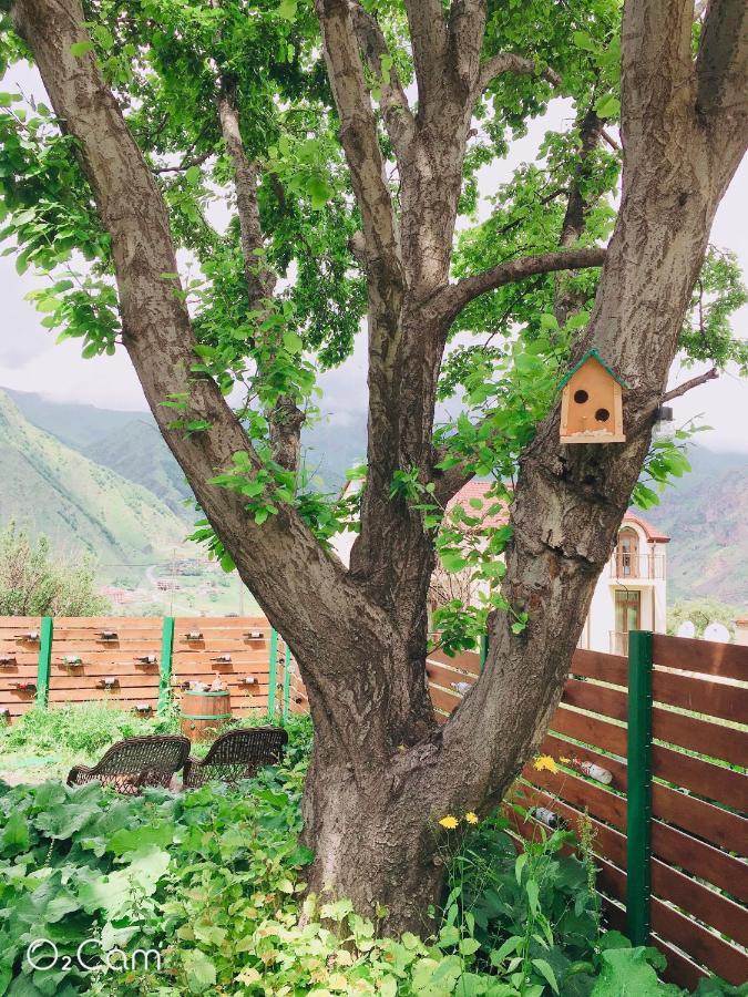 Greenhill Kazbegi Kültér fotó